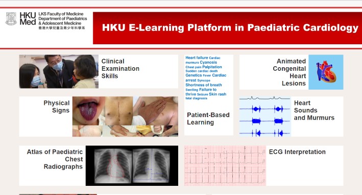 HKU E-Learning Platform in Pediatric cardiology
